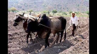 MI PUEBLO QUERIDO Huehuetlan el Chico [upl. by Germayne]