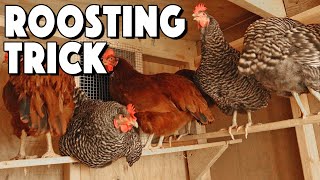 Chicken Roosting Bars Ideas To Help Your Flock Roost  Special Trick That SAVED Us [upl. by Madra164]