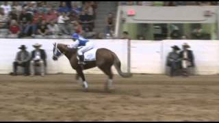 2010 Freestyle Reining Winner [upl. by Zannini]