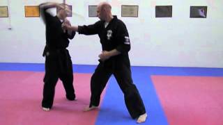 Advanced Kenpo Demonstration 2 [upl. by Yance]