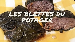 PETITS FARCIS aux BLETTES façon POPOTE En direct du Potager [upl. by Rosinski662]