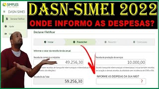 MEI  Como Declaro as Despesas da Empresa na Declaração Anual DASNSIMEI [upl. by Enilekcaj]