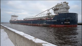 Duluth Canal…One Of The Last 2024 Arrivals  Algoma Intrepid 🚢 [upl. by Fairfield678]