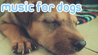 15 HOURS OF RELAXING DOG MUSIC Reduce Anxiety and Help Dogs Sleep [upl. by Yorke]