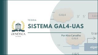 Teoria Sistema GAL4UAS [upl. by Danelle]