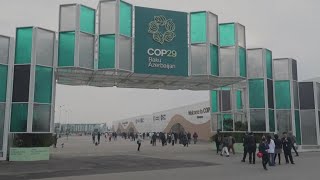 Over 200 countries join for COP29 summit to talk future of climate change [upl. by Candyce]