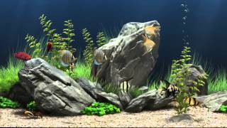 Dream Aquarium Virtual Fishtank 1 [upl. by Leroi272]