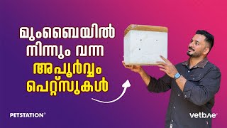 അയ്യേ ഇതൊക്കെയാണോ പാർസ്സൽ ആയി വന്ന പെറ്റ്സ്‌ [upl. by Kathlene747]