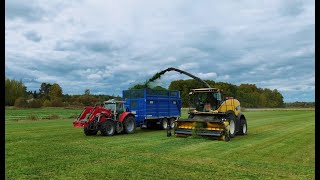 Silage 2024 Ola Gård [upl. by Muir]