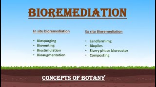 Bioremediation Insitu and Exsitu Bioremediation Hindi Urdu Concepts of Botany [upl. by Brendon]