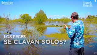 LOS PECES SE CLAVAN SOLOS Especial Técnicas y tutoriales Baitcasting [upl. by Lebasiairam879]