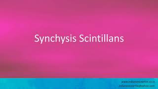 Pronunciation of the words quotSynchysis Scintillansquot [upl. by Eronel]