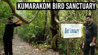 Kumarakom Bird Sanctuary I Suhail Ramzan I The Food Traveller [upl. by Ahsinat]