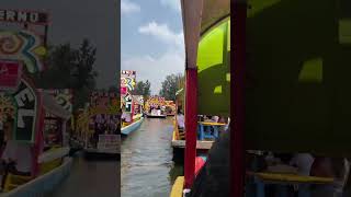 BELLO XOCHIMILCO xochimilco cdmx humor [upl. by Drwde]