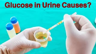 Glucose in urine Causes [upl. by Asteria]