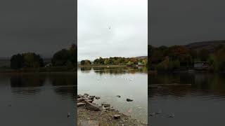 Morning walk around Hollingworth Lake with voice of HolyQuran muslim islamicvideo [upl. by Amethyst471]