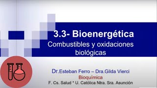 Clase Teórica Bioquímica 33 bioenergética [upl. by Tedra]