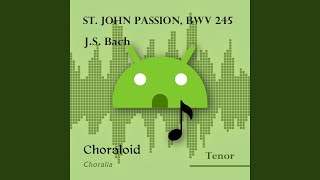 St John Passion BWV 245 48  Eilt ihr angefochtnen Seelen All voices [upl. by Kcirdet]