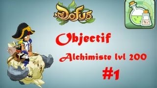 Dofus Monter Alchimiste lvl 200  Ep 1 lvl 1 à 40 Maj 229 [upl. by Ellives]