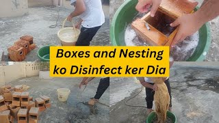 Boxes and Nesting ko Disinfect ker Dia  HWI Aviary [upl. by Didier789]