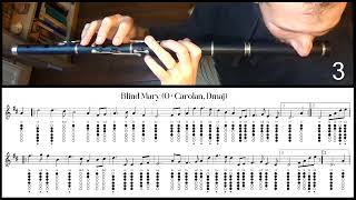 Tuto Irish Flute  Blind Mary OCarolan Dmaj [upl. by Ssilem960]