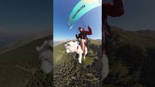 Ouka soaring to new heights 🙌 cutedog salomon paragliding tomorrowisyours [upl. by Regdirb]