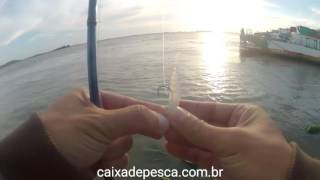 Pescaria de robalo com vara Albatroz Flexa 14lbs [upl. by Anear275]