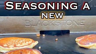 Blackstone Griddle First Time Seasoning [upl. by Eylatan]