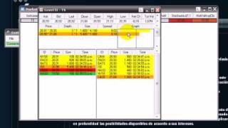 NinjaTrader usando el Level 2 y time and sales [upl. by Toomay]