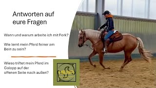 Die Westernreitstunde Antworten auf eure Fragen zu Fork und Schenkelhilfe [upl. by Nairadal]