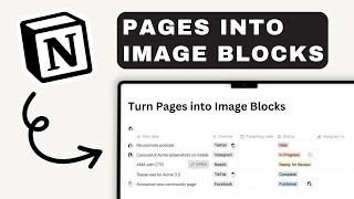 How to Turn Pages into Image Blocks in Notion  Notion For Beginners [upl. by Ferrand]