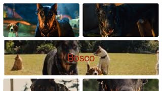 Marmaduke 2010 Bosco scene pack Part 2 [upl. by Etna]