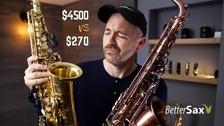 Cheapest Sax on Amazon VS My Professional Alto Saxophone [upl. by Eahsan]