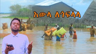 አውላ ለጎፍላላ ስልጥኛ [upl. by Alejo]