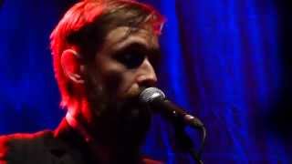 The Divine Comedy  A Lady Of A Certain Age  Philharmonie de Paris 2015 [upl. by Tnarud]