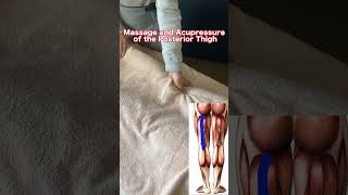 Massage and Acupressure of the Posterior Thigh massage [upl. by Elora]