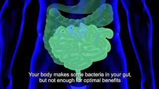 How Dr Mercolas Kinetic Culture Helps Improve Your Gut Flora [upl. by Middendorf]