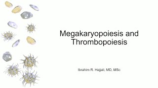 Megakaryopoiesis and Thrombopoiesis [upl. by Tsnre]