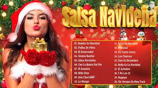 SALSA NAVIDEÑA MIX 🎵 CLASICOS DE LA SALSA NAVIDEÑA ⭐ SALSA NAVIDEÑA MIX 2025 BEST SALSA NAVIDẼNA [upl. by Selima985]