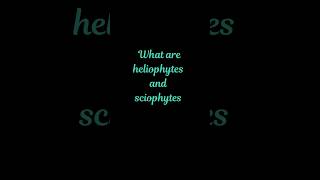 What are heliophytes and sciophytes biology botany bscbotany [upl. by Nelleoj639]