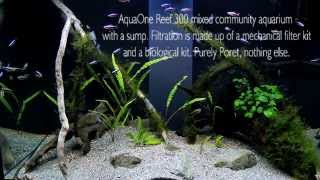 Aquariums filtered by Poret filter foam [upl. by Nitaj]