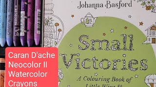 Small Victories with NEOCOLOR II  johannabasford adultcolorbook carandache [upl. by Arly615]