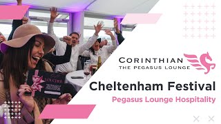 The Cheltenham Festival 2024 🏇  VIP Hospitality 🥂  The Pegasus Lounge with Corinthian Sports [upl. by Elohc424]