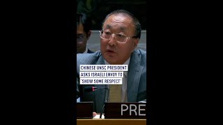 Please show some respect at least’ Chinese UNSC president tells Israeli envoy [upl. by Toille22]