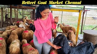 Retteri Atu Santhai Chennai  Wholesale Saturday Market  BTS DISCOVER VLOG [upl. by Akerue]