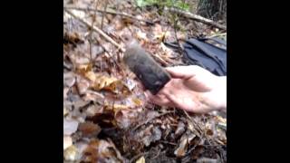 December Digging In NH Stoddard Shard [upl. by Damali]