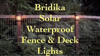 Bridika Brand Outdoor Solar Wall and Fence Lights Unboxing and Review Bridika Outdoor Solar Lights [upl. by Pansir729]