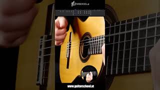 Rumba Flamenco Solo  Guitar Tutorial with TABs [upl. by Carmelina]