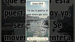 Mensaje Bíblico de hoy Juan 109 Fe VersiculoDeLaBiblia TextosBiblicos EstudioBiblico [upl. by Ojadnama]