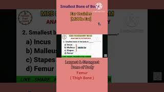 RRB Pharmacist exam preparation notes 2024 Anatomy smallest bone Stapes [upl. by Ymeon]